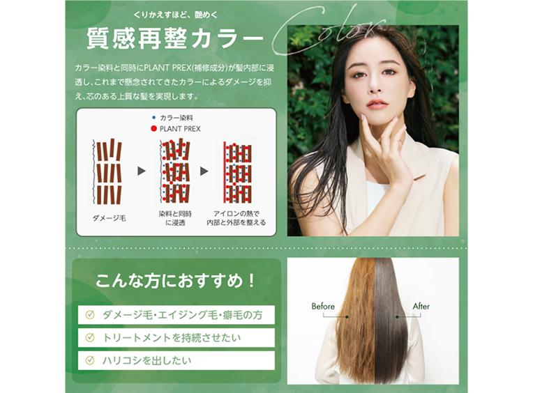 カラー説明パンフレット